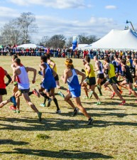 New Beginnings  DWP©